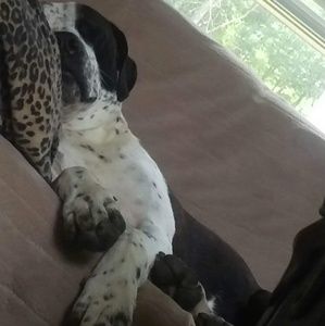 Meet your Posher, Kari